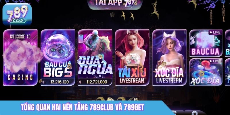 So Sánh 789Club vs 789Bet: Nền Tảng Nào Uy Tín Hơn? 1 Tổng quan hai nền tảng 789club và 789bet